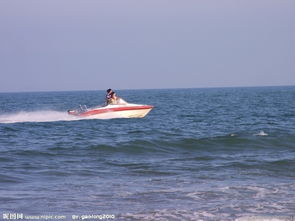 海上游览与航空国际货运代理 现代物流与旅游的双重画卷