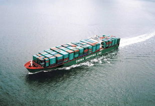 海口至上海内贸集装箱海运 物流优化与成本选择指南