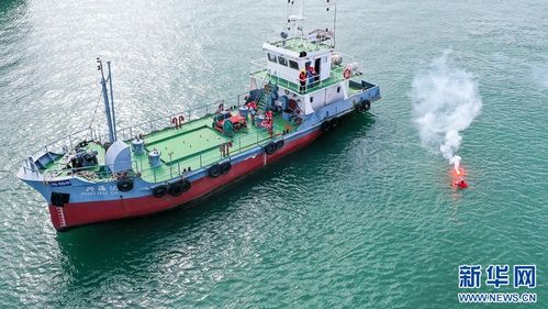 组图 漳州海陆联动 筑牢安全防线——海上应急与陆路协同演练纪实